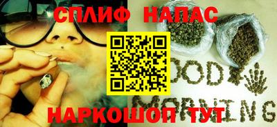 кокс Можга