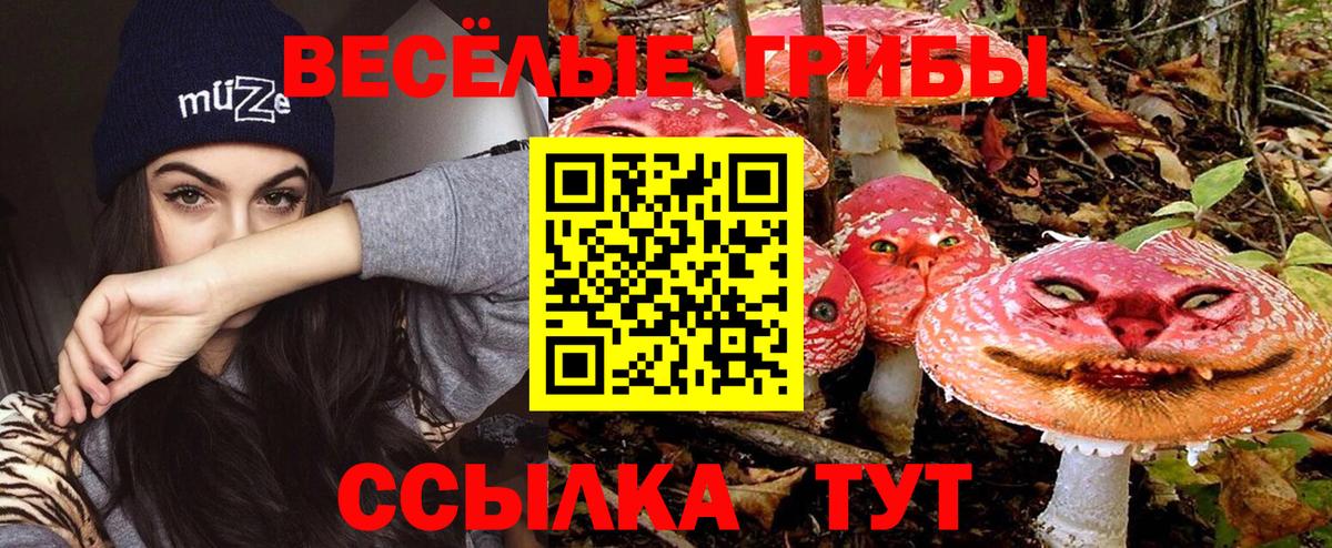 Галлюциногенные грибы Cubensis Славянск-на-Кубани